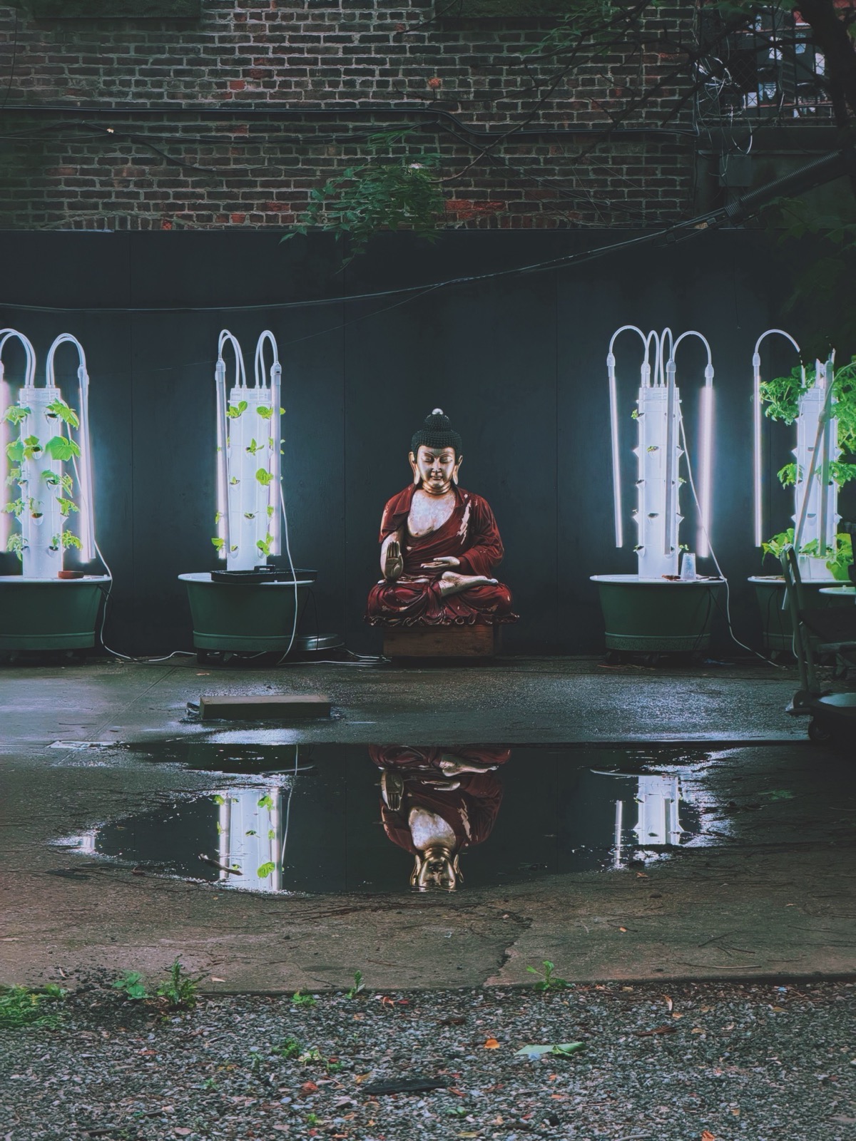 Buddha statue and growing towers in the courtyard
